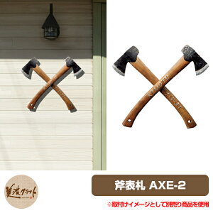 \D  ZV[Y \D AXE-2 ZNtg A~ I ƑnI ِF j[N