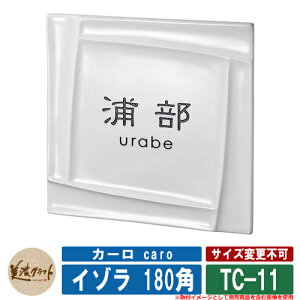 \D  J[ caro C] 180p TC-11 FO[h ZNtg ^C\D Ă\D ˌ 和 }V fUC