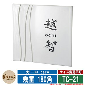 \D  J[ caro d 180p TC-21 FO[h ZNtg ^C\D Ă\D ˌ 和 }V fUC