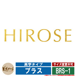 \D  uX BRASS p^Cv BRS-1 FPLXbNXd ZNtg ^J ˌ 和 }V fUC