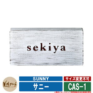 \D  Tj[ SUNNY x[XFؕFh CAS-1 Fi1mmjFh ZNtg A~\D ˌ 和 }V fUC