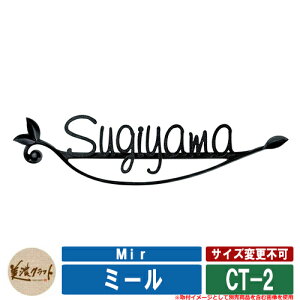 \D  ~[ Mir CT-2 cFh ZNtg A~\D ˌ 和 }V fUC Vv