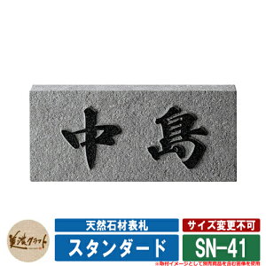 \D  VR΍ޕ\D X^_[h SN-41 F ZNtg VRΕ\D ˌ 和 }V Vv