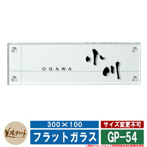 \D  tbgKX 300×100 GP-54 F\ʒFh ͗lFʒf ZNtg KX\D ˌ 和 }V Vv