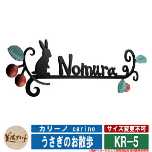 \D  J[m carino ̂U KR-5 ZNtg XeX\D XeX ˌ 和 }V fUC