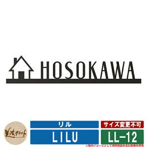 \D   LL-12 ́FXyV ZNtg XeX ˌ \D lCF 和  l[ v[g