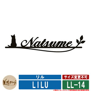 \D   LL-14 ́F_C ZNtg XeX ˌ \D lCF 和  l[ v[g