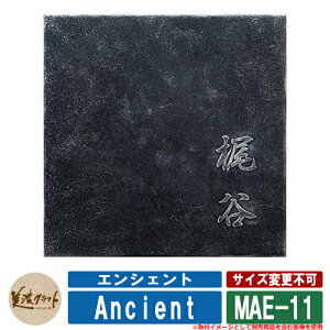 \D  GVFg MAE-11 ́Fɑs ZNtg XeX ˌ \D lCF 和  l[ v[g