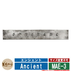 \D  GVFg MAE-3 ́Fgg ZNtg XeX ˌ \D lCF 和  l[ v[g