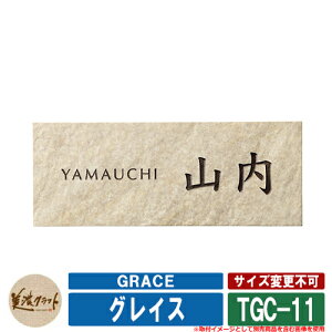 \D  OCX GRACE TGC-11 Fp[uEh ZNtg ^C\D Ă\D ˌ 和 }V fUC