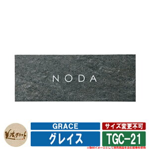 \D  OCX GRACE TGC-21 FVo[h ZNtg ^C\D Ă\D ˌ 和 }V fUC