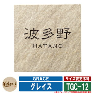 \D  OCX GRACE TGC-12 Fp[uEh ZNtg ^C\D Ă\D ˌ 和 }V fUC