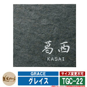 \D  OCX GRACE TGC-22 FVo[h ZNtg ^C\D Ă\D ˌ 和 }V fUC