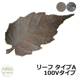 fB[YK[f LEDCg fB[YCg EH[EHbV[ [t ^CvA 100V^Cv DSL040 和 \D  킢