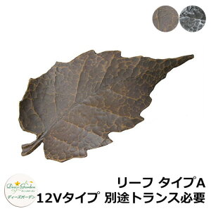 fB[YK[f LEDCg fB[YCg EH[EHbV[ [t ^CvA 12V^Cv ʓrgXKv DSL041 和 \D  킢