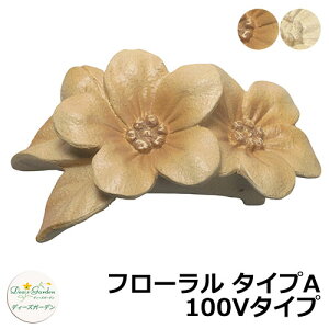 fB[YK[f LEDCg fB[YCg EH[EHbV[ t[ ^CvA 100V^Cv DSL080 和 \D  킢