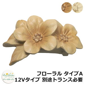 fB[YK[f LEDCg fB[YCg EH[EHbV[ t[ ^CvA 12V^Cv ʓrgXKv DSL081 和 \D  킢