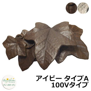 fB[YK[f LEDCg fB[YCg EH[EHbV[ ACr[ ^CvA 100V^Cv DSL090 和 \D  킢