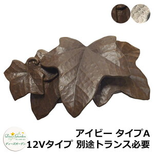 fB[YK[f LEDCg fB[YCg EH[EHbV[ ACr[ ^CvA 12V^Cv ʓrgXKv DSL091 和 \D  킢