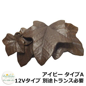 fB[YK[f LEDCg fB[YCg EH[EHbV[ ACr[ ^CvA 12V^Cv ʓrgXKv QlFFuY DSL0911 和 \D  킢