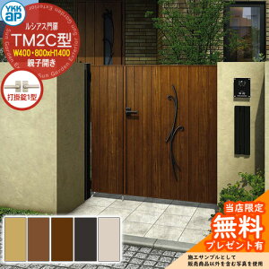 �y���������T�t�z��� ���V�A�X��� TM2C�^ �e�q�J���E�和�Z�b�g �ď́F04�E08-14(W400�E800×H1400) YKKap UME-V-TM2C ����+�c�ډB�� �Ŋ|��1�^�t C01�^��p�i