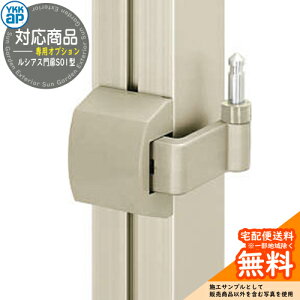 `ޖIvV yiz VAXS01^ 和^Cvp OJЂ Jp DIY   ͂ E O  Vv    N[ h ډB K[f ˌ t