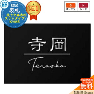 表札 ステンレス おしゃれ 26.抜き文字表札 (Gオレンジ/Hレッドの選択可能) KYM5 YKK YKKap 表札シミュレーション対応 シンプル 庭 可愛い 新居 新築 お祝い 人気