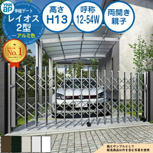 LkQ[g CIX 2^ fAp^^Cv Jeq A~F H13 ď́F12-54W PGN-2 YKK YKKap Lk J[eQ[g AR[fBI p^`ރQ[g DIY   ͂ E O 