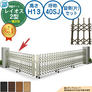 LkQ[g CIX 2^ fAp^^Cv ()Zbg F H13 ď́F40SJ pn PGN-2 YKK YKKap Lk J[eQ[g AR[fBI p^`ރQ[g DIY   ͂ E 