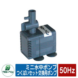 �� �뉀 �~�j�����|���v ���΂��Z�b�g�����p�|���v50Hz GLOBEN �O���[�x�� ���{ �`�� ���� �h�� �{�� ���H�X ���� ���� ���� �����C �ڒ�
