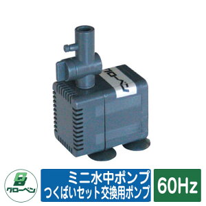 �� �뉀 �~�j�����|���v ���΂��Z�b�g�����p�|���v60Hz GLOBEN �O���[�x�� ���{ �`�� ���� �h�� �{�� ���H�X ���� ���� ���� �����C �ڒ�