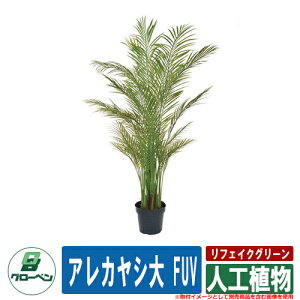    Op tFCNO[ lHA AJV FUV O[x N[  A A ؐ  } v^[