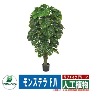    Op tFCNO[ lHA Xe FUV O[x N[  A A ؐ  } v^[