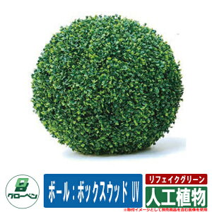    Op tFCNO[ lHA {|F{bNXEbh UV O[x N[  A A ؐ  } v^[