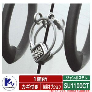 JCXC} S~ W{Xe SU1100CT pIvV JMt 1ӏ iC[x1EAC{gx2j {̂Ɠŵݔ̔\