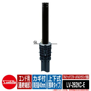 A~wbht^[ 114.3 Z~bNh ㉺iW^Cvj JMti싞40mmj GhpiŏI[j iԁFLV-262KC-E T|[