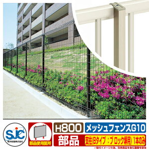 tFX O ͂ bVtFXG10 H800 x(B^CvFubNp) 1{̂ ϐ ̑̕ޕʔ