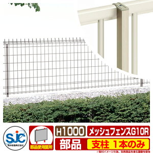 tFX O ͂ bVtFXG10R H1000 x 1{̂ ϐ ̑̕ޕʔ