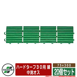 lH x_ n[h^[t30p  KiFIX75×300 iԁFMR-003-593-1 x20i20Zbgj eg TERAMOTO Ő}bg