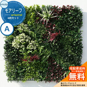 Ǌ| tFCN O[ A[t oriental A 4Zbg iԁFML-O-A jIrY  ϗtA ǖʗΉ Ǎ bNX  O ȒP