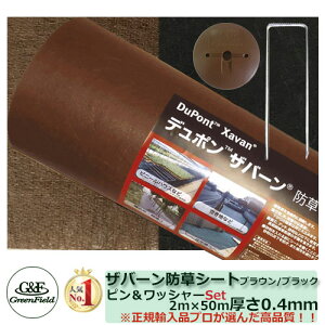 hV[g vebNX 125BB ʏ^Cv TCYF2m×50m sEbV[e100 yFUo[hV[g 128uE/ubNz O[tB[h