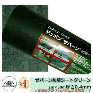 hV[g Uo[hV[g ʏ^Cv 136O[ TCYF2m×50m yUo[ 136Gz O[tB[h