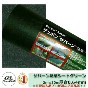 hV[g Uo[hV[g ̓^Cv 240O[ TCYF2m×30m yUo[ 240Gz O[tB[h