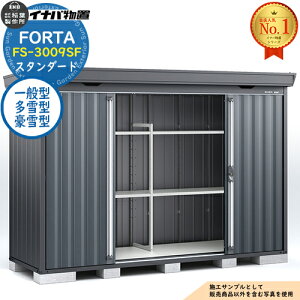 �y���������T�t�z�t�H���^ ���^���u FS-3009SF �X�^���_�[�h ��ʌ^�E����^�E����^ �t�����l���O���[�d�l ��3050×���s950×����2085 �C�i�o���u ��t���쏊 FORTA ���u ���O ���[ �h�A�^���[�� ��