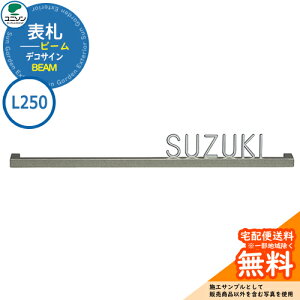 \D ˌ  XeX TC \D r[ BEAM L250 fRTC j\ \DTCV~[VΉ Y l[v[g Vv    V Vz GNX