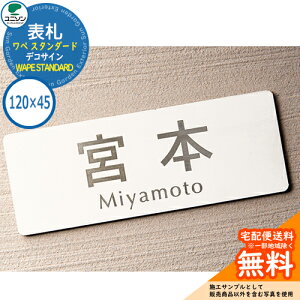 \D ˌ  XeX \D y X^_[h WAPE STANDARD 120×45p fRTC j\ \DTCV~[VΉ Y l[v[g Vv    V V