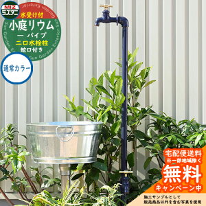 yTtz  냊E pCv coniwarium Pipe Piprop+Plant Stand Pan ʏJ[ ~Y^jou AeB[N  O   Vv     킢 G