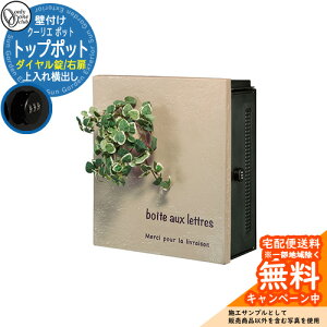 Xփ|Xg X֎ N[G |bg gbv|bg _Cdl Qlʐ^F62EiuEj I[Nu ONLY ONE |Xg t Ǖt Ǌ| X^h i`_