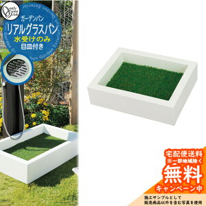 yTtz  ֌ AOXp  K[fp GM3-REGP I[ O   Vv 