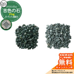  K[fp IN^SIvVi gF̐ u[ HV3-GR-C I[Nu VR    ANZg 